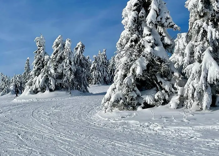 Apartmán Kubínska Hoľa - Hillside Point